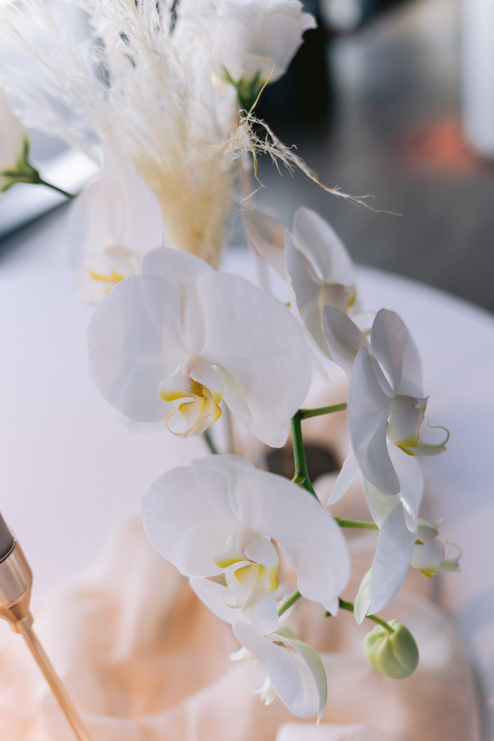 Hochzeit Westhafen Pier 1